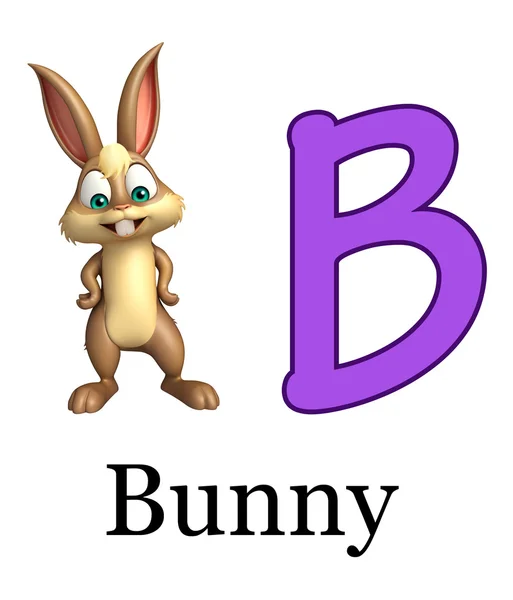 Bunny animal salvaje con alfabeto — Foto de Stock