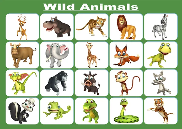 1080p Images: Wild Animals Images Hd Free Download