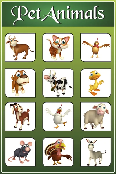 Pet animal chart Stock Photos, Royalty Free Pet animal chart Images |  Depositphotos