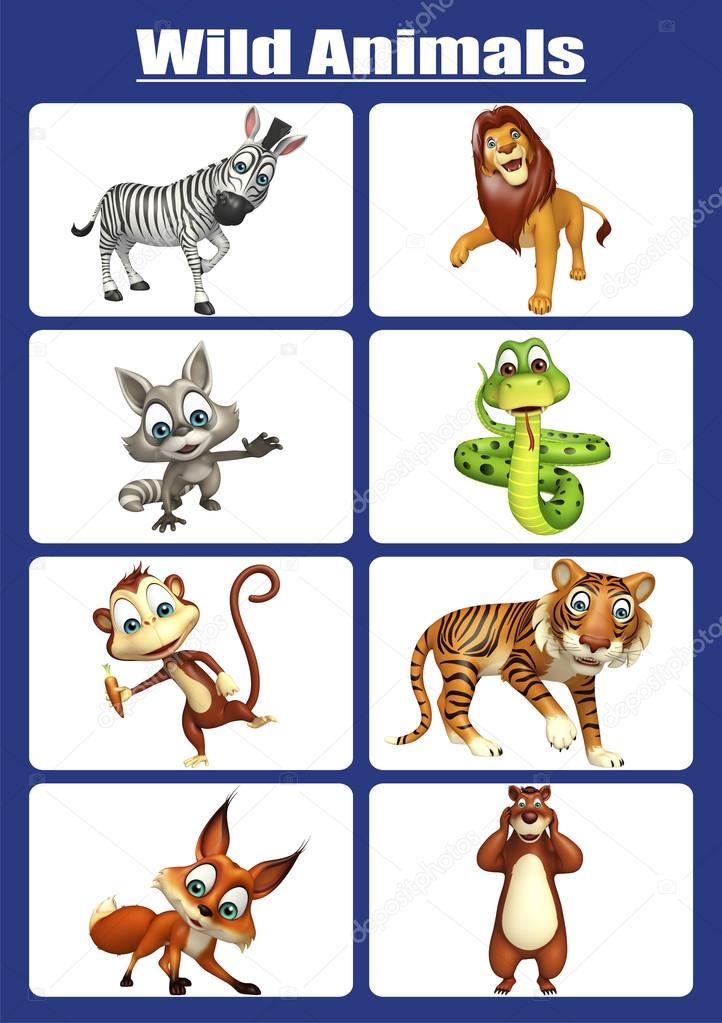 Animals Images Chart