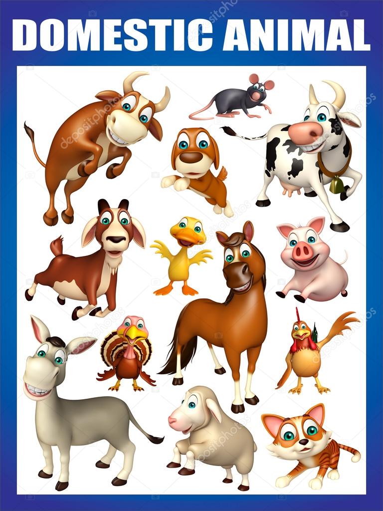 Domestic Animals Chart | Mega Wallpapers