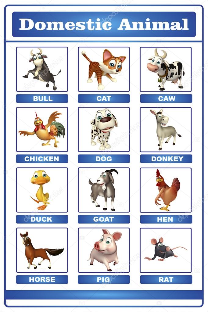 Pet animal chart Stock Photos, Royalty Free Pet animal chart Images | Depositphotos Pet animal chart Stock Photos, Royalty Free Pet animal chart Images | Depositphotos