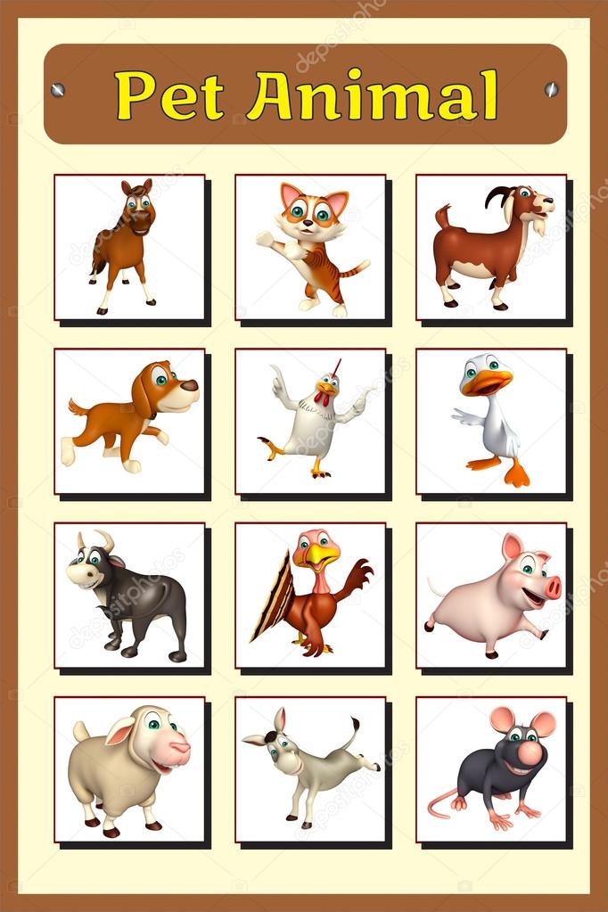 Pet animal chart Stock Photos, Royalty Free Pet animal chart Images |  Depositphotos