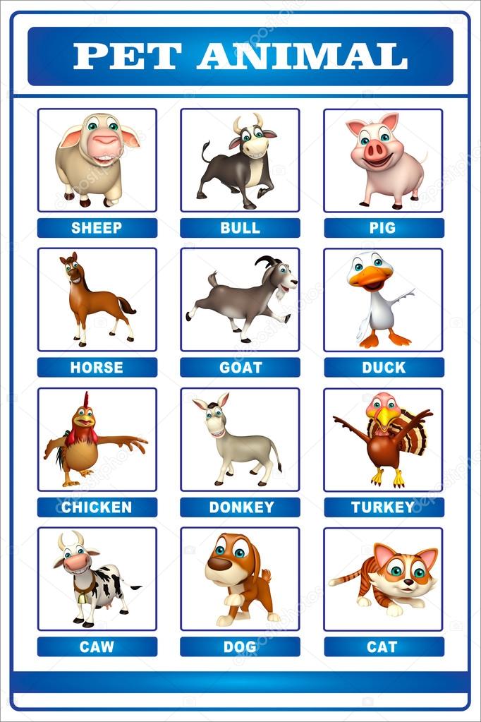 Pet Animals Images Chart