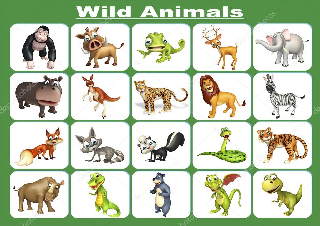 Wild animal chart Stock Photo by ©visible3dscience 102408616