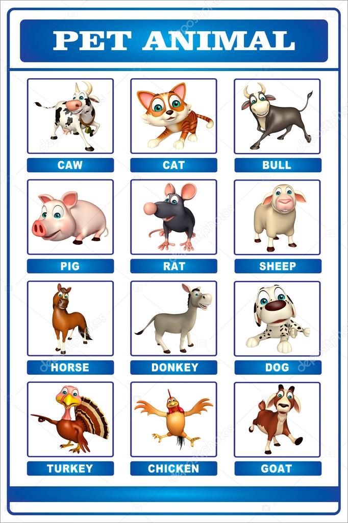 Pet animal chart Stock Photos, Royalty Free Pet animal chart Images | Depositphotos Pet animal chart Stock Photos, Royalty Free Pet animal chart Images | Depositphotos