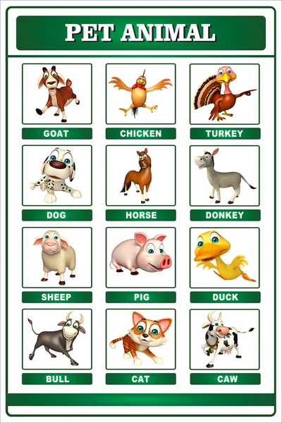 Pet Animals Images Chart