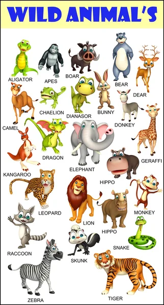 Animal Chart Hd