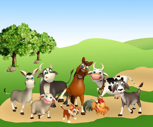 Group of farm animal — Stock Photo, Image