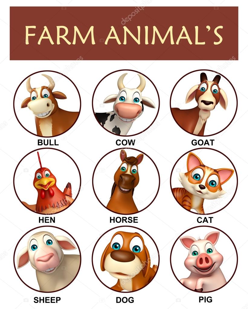 6 What Do We Get From Farm Animals Chart Apocalomegap vrogue.co
