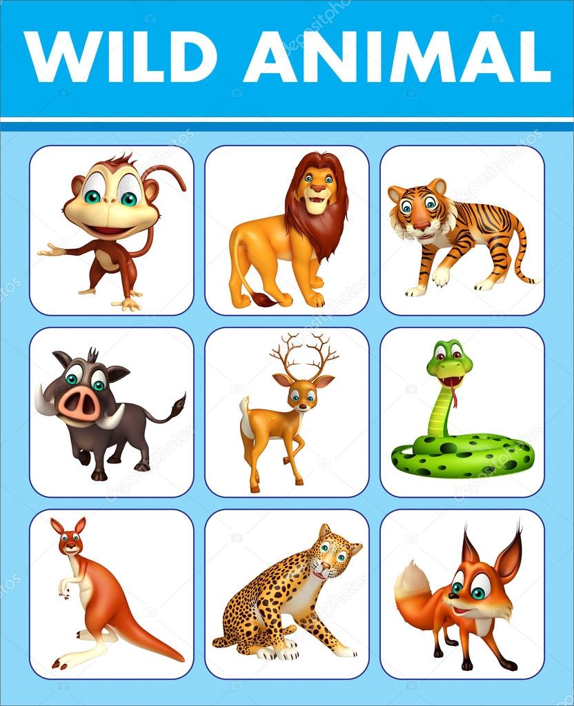 Wild animal chart Stock Photo by ©visible3dscience 102412844