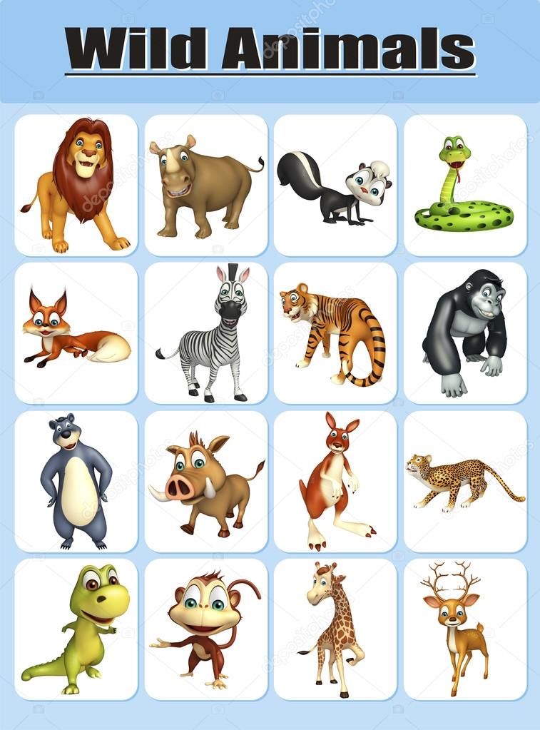 Wild animal chart Stock Photo by ©visible3dscience 102414656 Wild animal chart Stock Photo by ©visible3dscience 102414656