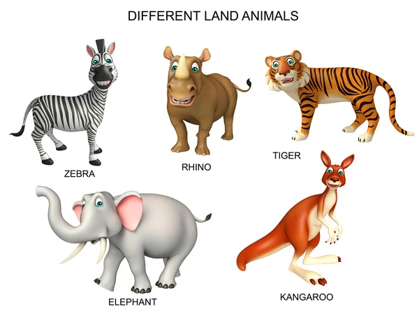 Wild Animals Chart