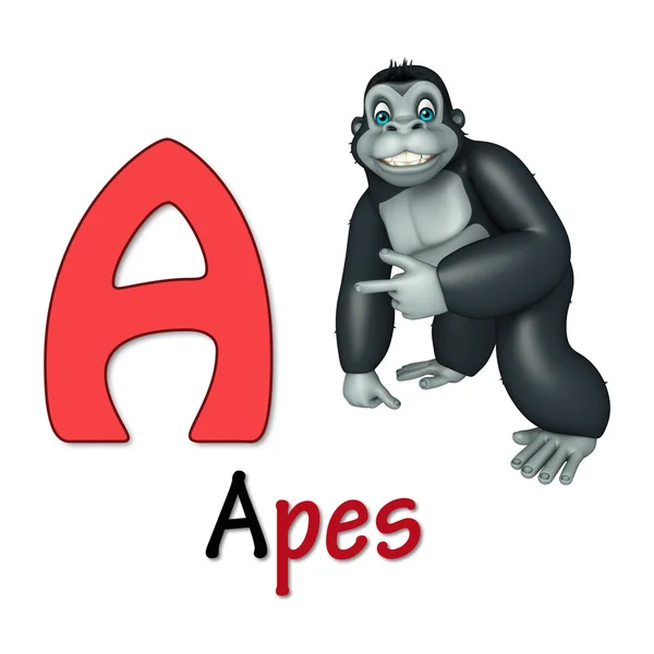 Małpa dzikich zwierząt z alphabate — Zdjęcie stockowe
