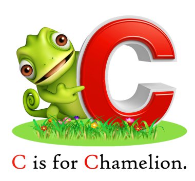 Alphabate Chamelion vahşi hayvanla