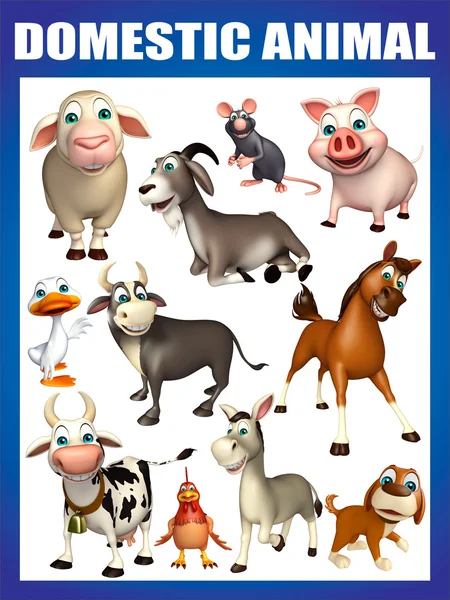 Domastic animal chart — Stock Photo, Image