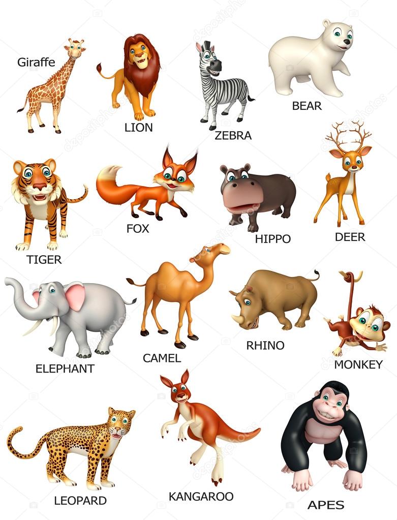 Common Animals Chart