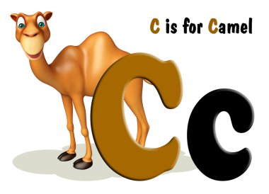 Deve domastic hayvan alphabates ile