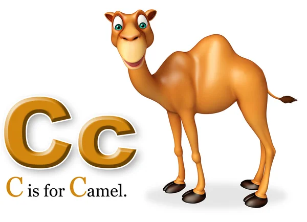 Kamel domastic djur med alphabates — Stockfoto