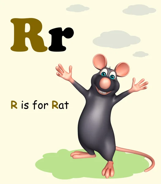 Animal de compagnie de rat avec alphabet — Photo