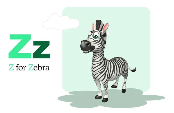 Zebra  with alphabet — Stock Photo, Image