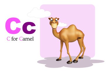 Deve domastic hayvan alphabates ile