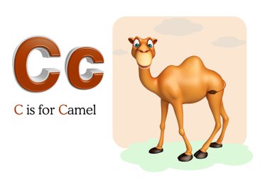 Deve domastic hayvan alphabates ile