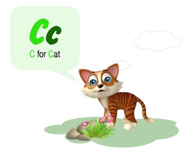 Kedi domastic hayvan alphabte ile