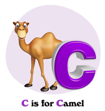 Deve domastic hayvan alphabates ile