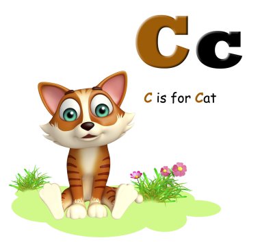 Kedi domastic hayvan alphabte ile