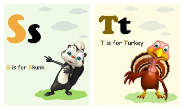 Kokarca ve Türkiye ile Alphabate