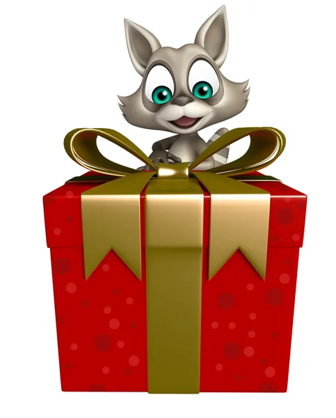 Mapache personaje de dibujos animados con caja de regalo —  Fotos de Stock