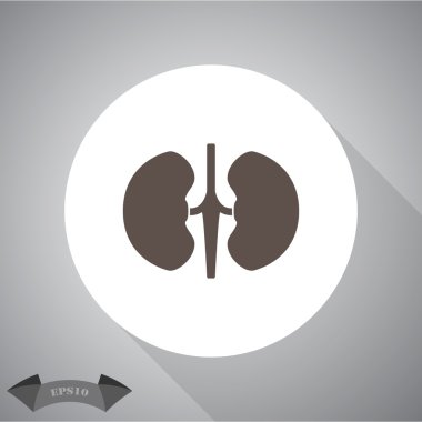 İnsan böbrekler simgesi