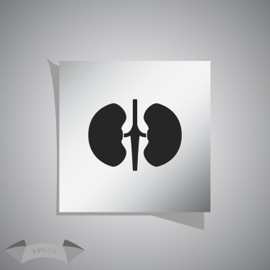 İnsan böbrekler simgesi