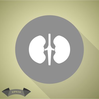 İnsan böbrekler simgesi
