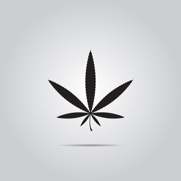 marijuana leaf vector icon