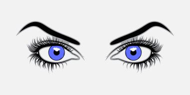 Vektör illüstrasyon mavi gözler