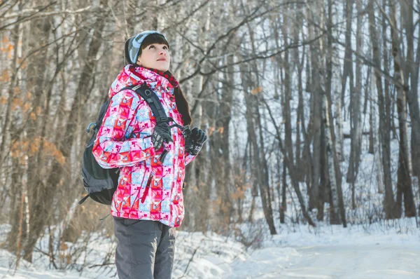 A menina na jaqueta brilhante caminha nos bosques de inverno Fotos De Bancos De Imagens