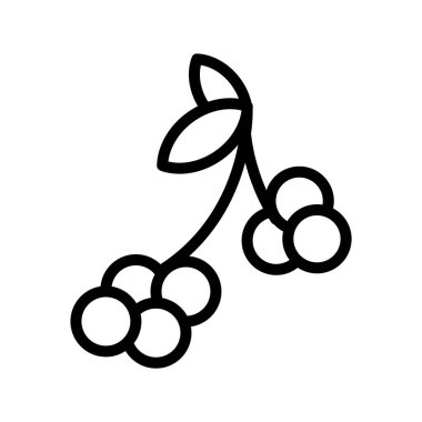 Siyah çizgi simgesi üzümler dal meyvesi. Ana hatlarıyla siyah ikon sağlıklı meyve ve sebze.