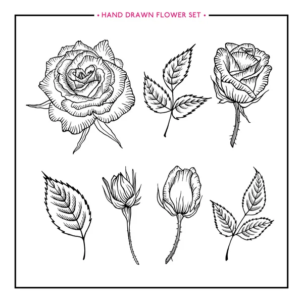 Flower set hand dras ökade — Stock vektor