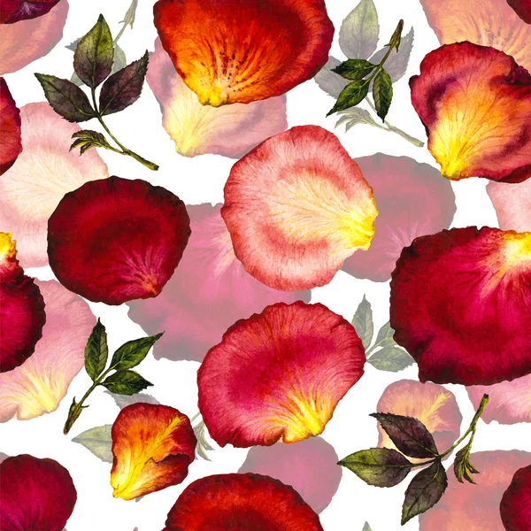 花びらや葉のバラの水彩画のパターン — ストックベクタ