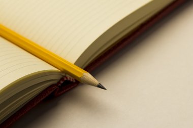 Bir defter sayfaları arasında kalem mi