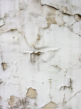 Açık gri arka plan dokulu. Soyutlama