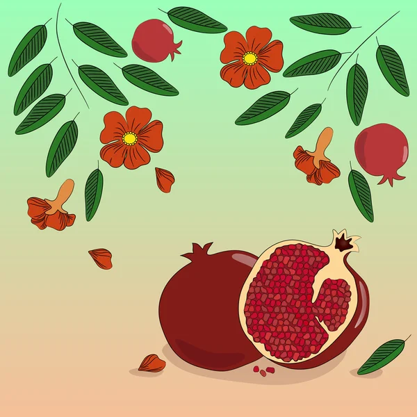 Saftiger Granatapfel mit Blättern und Blüten. — Stockvektor