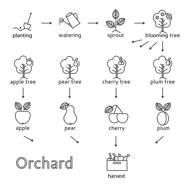 Orchard Icons set. Poster olarak kullanılabilir.