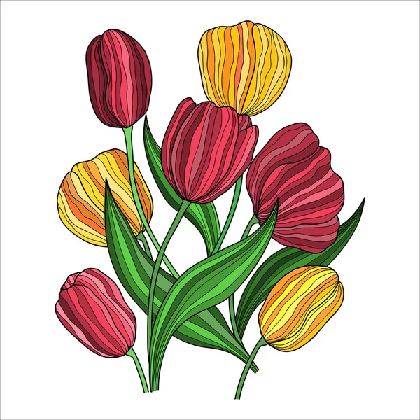 Padrão floral. Buquê de tulipas coloridas . —  Vetores de Stock