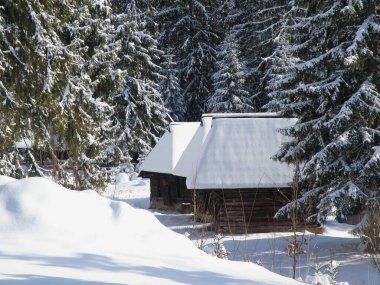 Slovakya 'nın Orava bölgesindeki Zuberec açık hava müzesinde kış mevsimi. Geleneksel dağ mimarisi - ahşap evler. Karla kaplı baca..