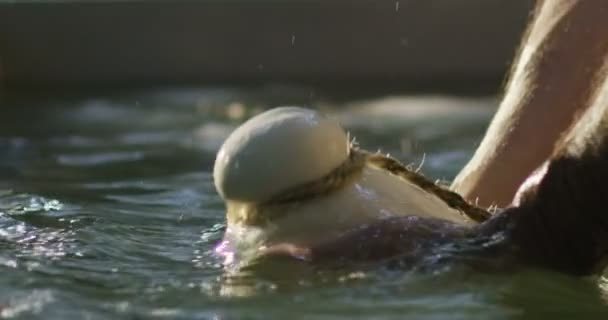 Italian cheese old tradition in super slowmotion — Stock Video