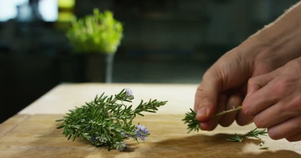 Seorang koki muda Italia profesional menggunakan rosemary untuk resepnya dalam gerak lambat ekstrim — Stok Video