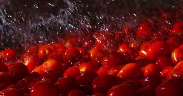 Tomatoes italian clean in super slowmotion — Stok video